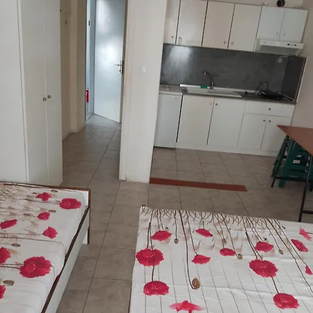 公寓 Aleksandros Olimp Olympiakí Aktí